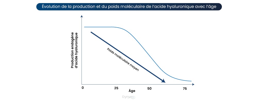 schéma acide hyaluronique age