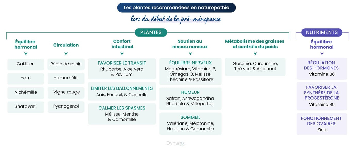 préménopause plantes