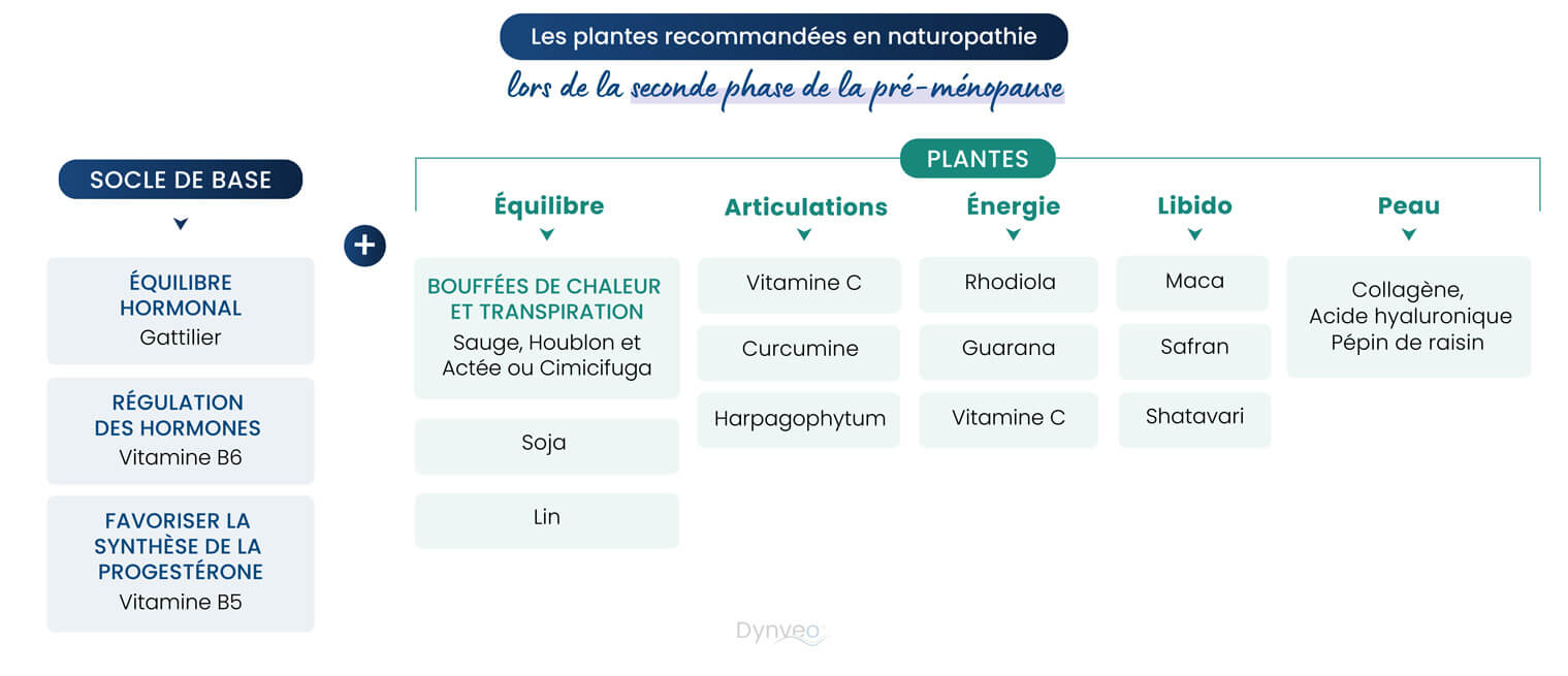 pré ménopause seconde phases