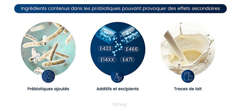 probiotique digestion