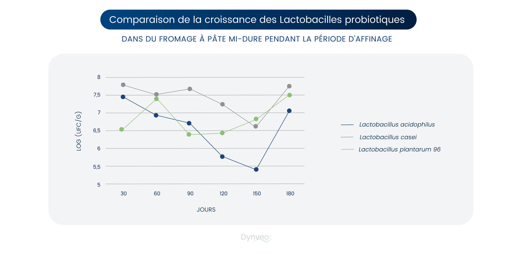 lactobacilles probiotiques