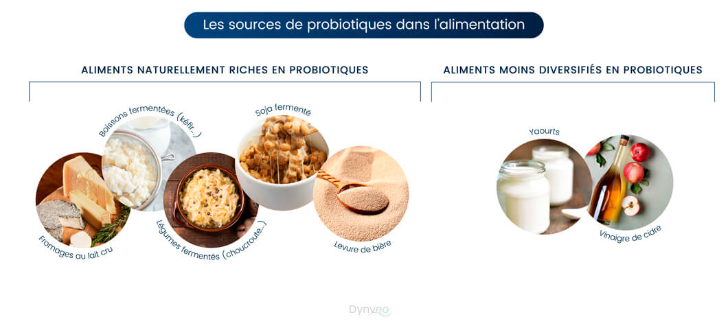 sources probiotiques alimentation