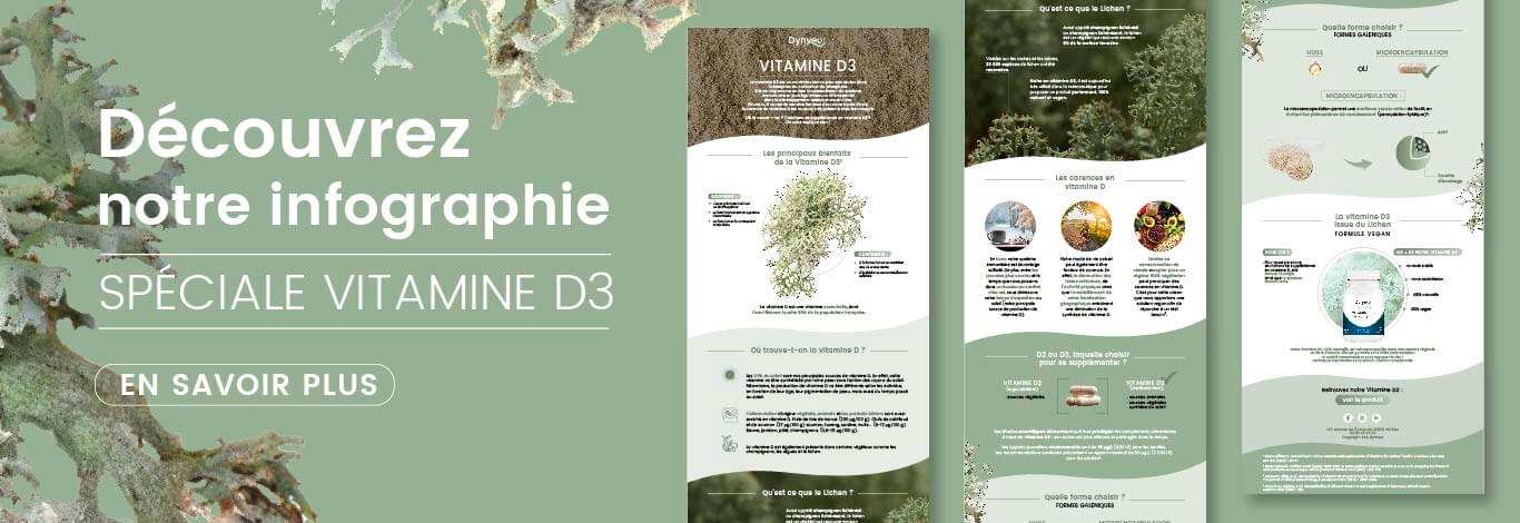 infographie vitamine D