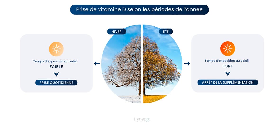  vitamine D hiver