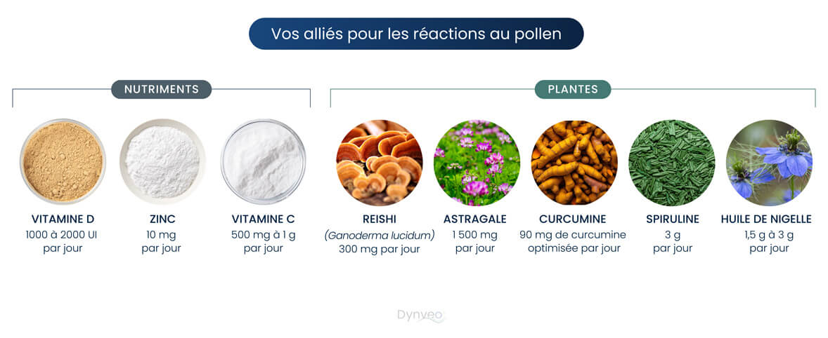 plantes nutriments réactions pollen