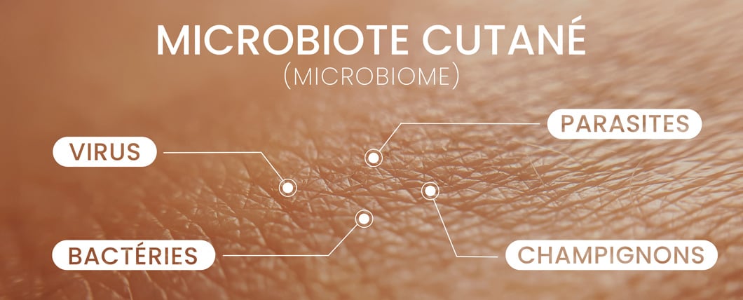 microbiote cutané
