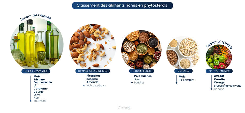 aliments riches en phytosterols vegetaux