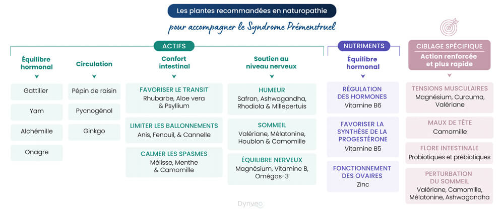 plantes et spm.