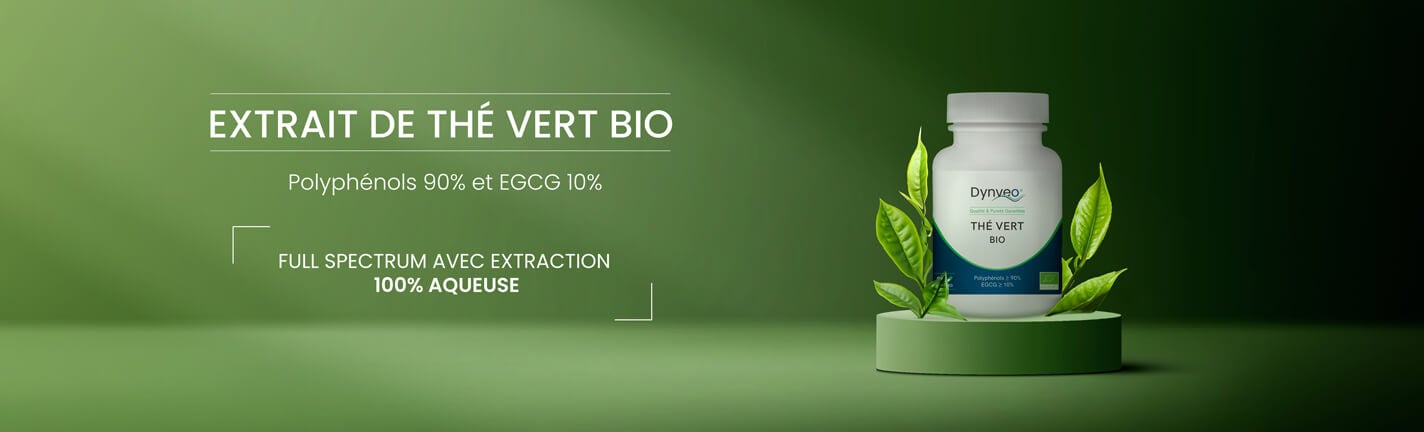 Thé vert bio
