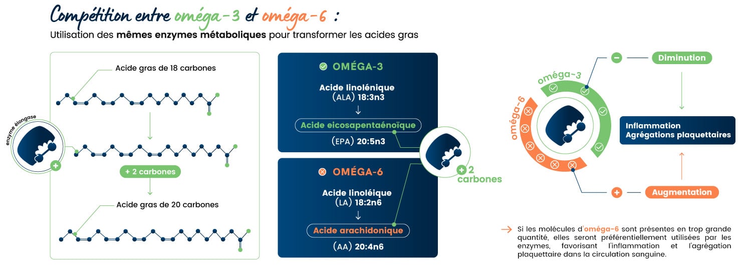 Compétition entre oméga 3 et oméga 6 Compétition entre oméga 3 et oméga 6