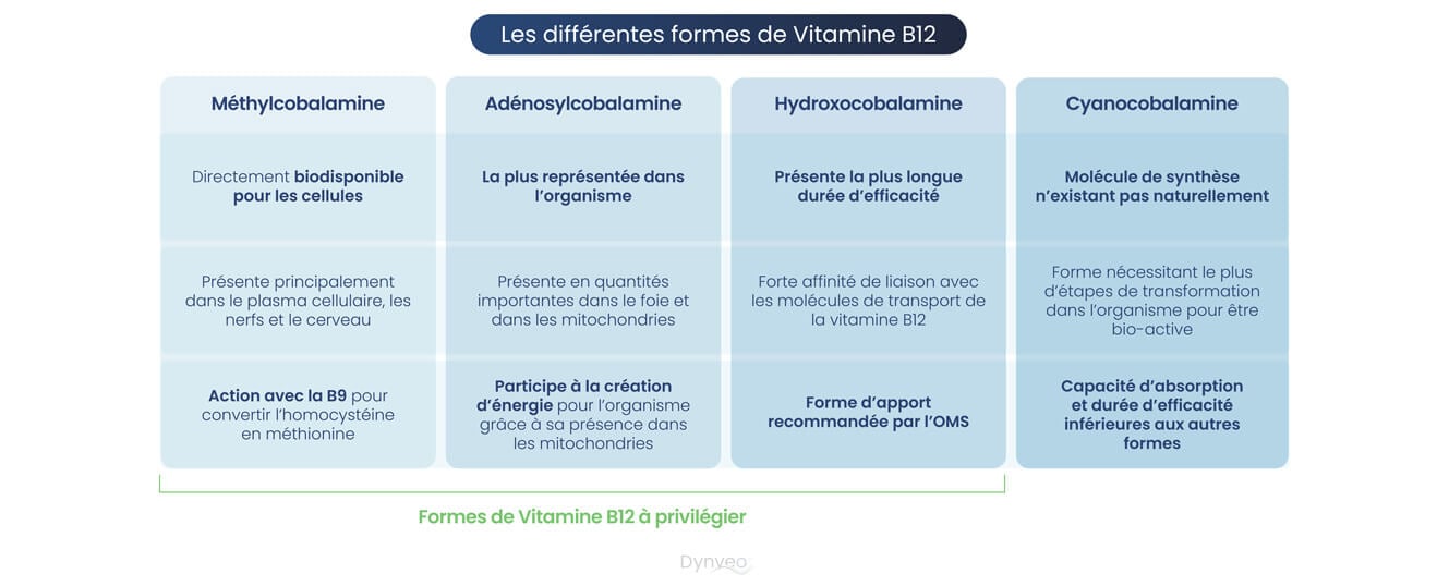 formes vitamine b12