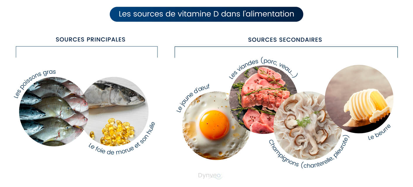 sources vitamines D