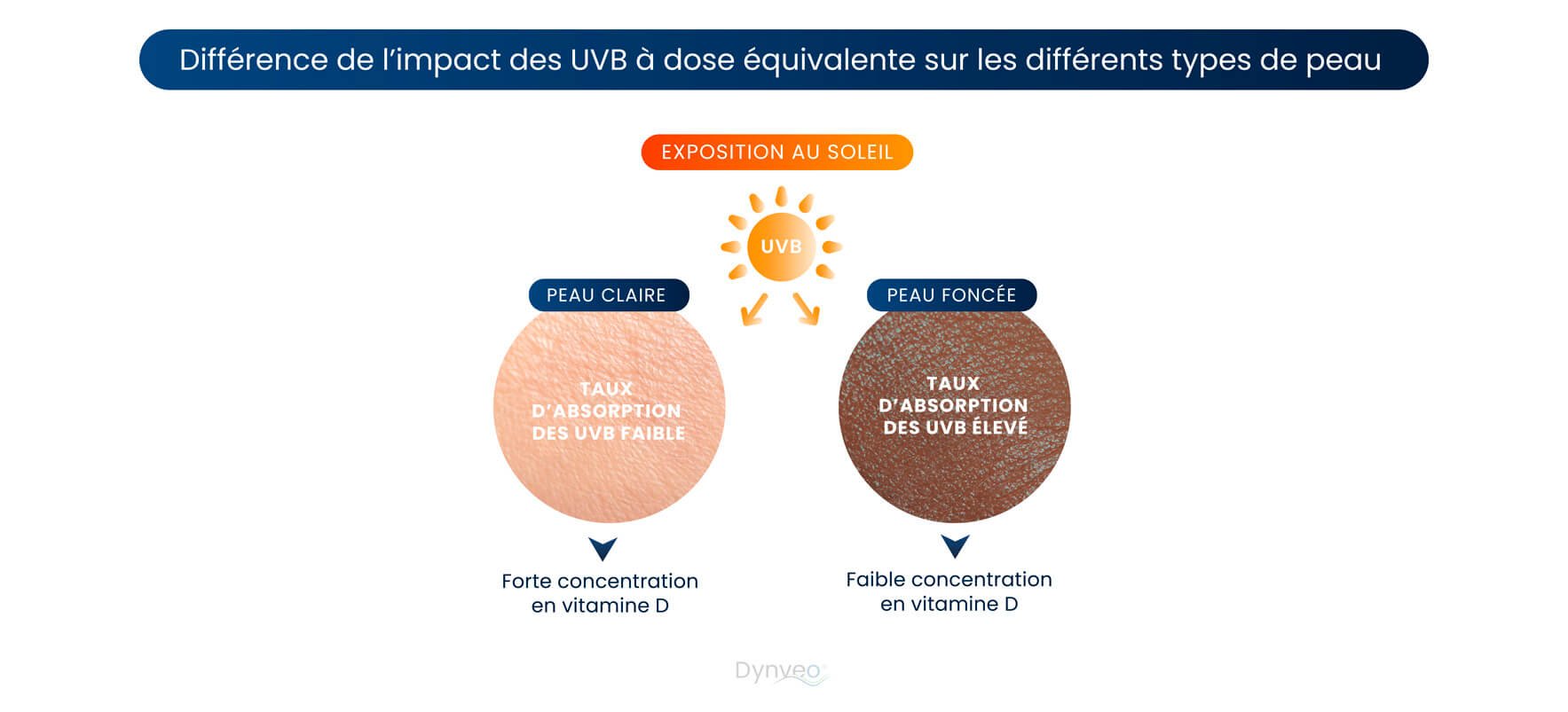 vitamine d peau 
