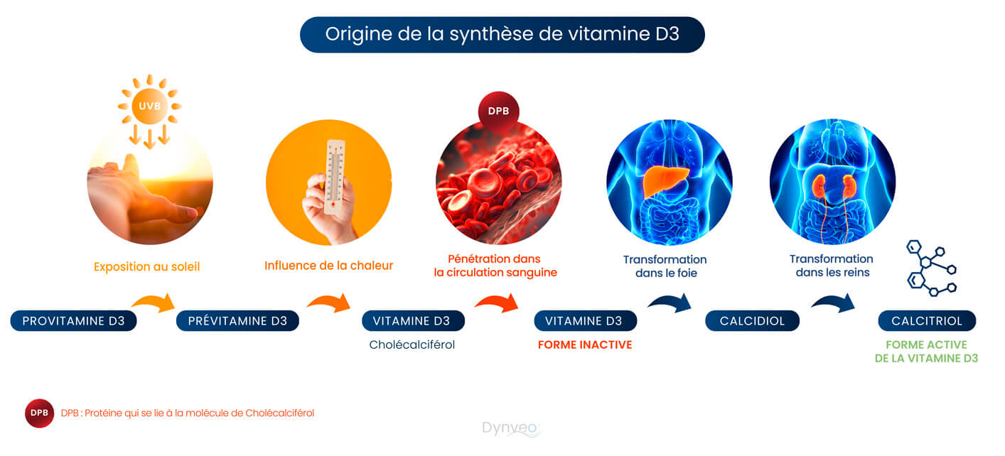 vitamine soleil 