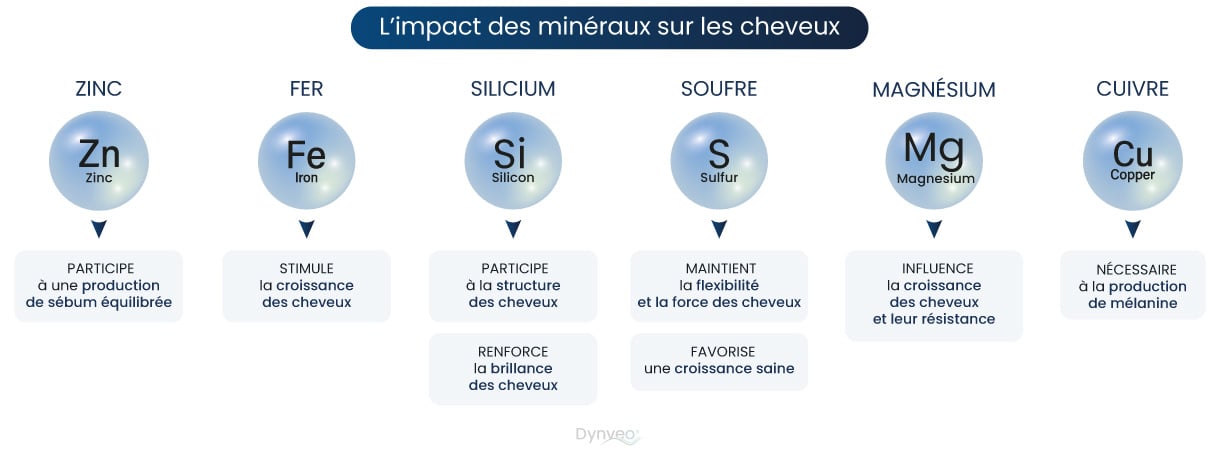 impacte mineraux cheveux