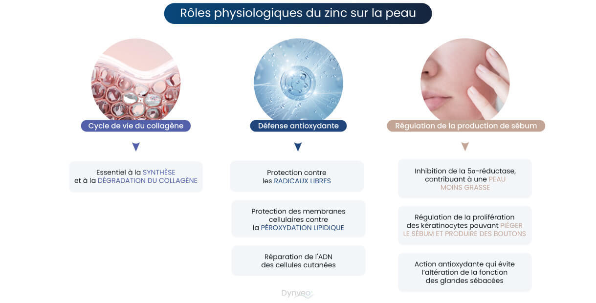 bienfaits pour la peau Zinc