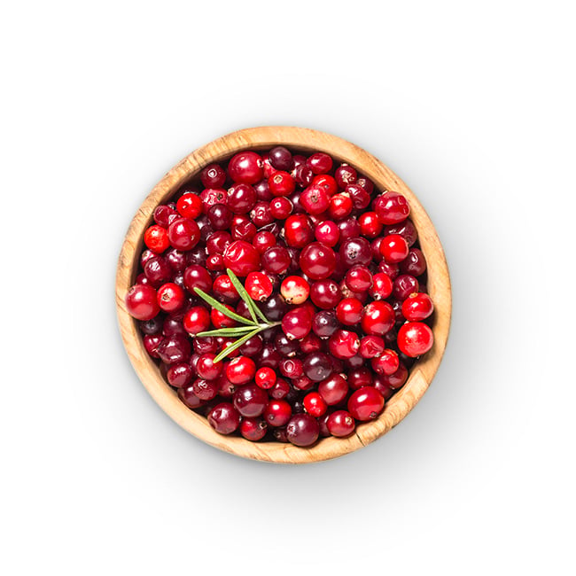 Canneberge cranberry