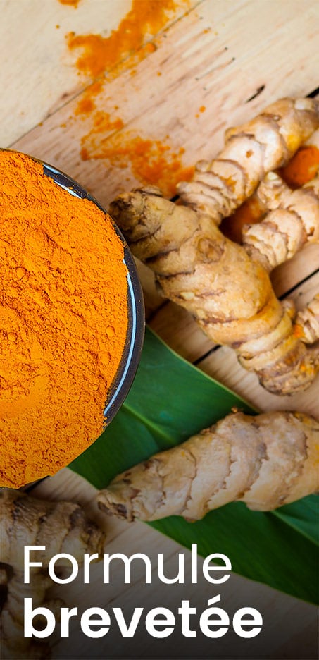 Curcuma optimisé