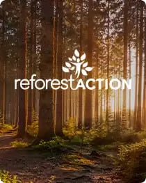 reforestaction