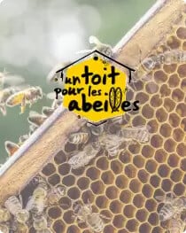 un toit pour les abeilles