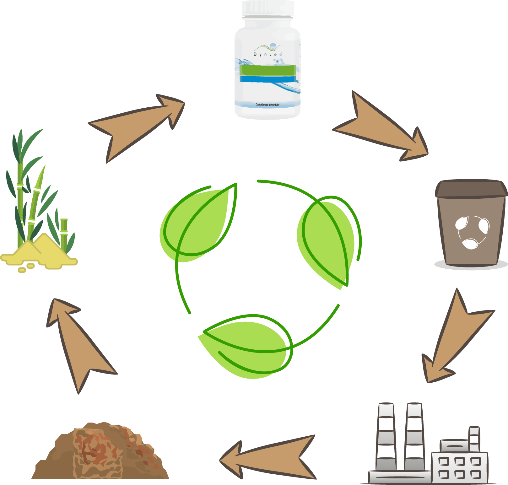 cycle de vie d'un flacon compostable