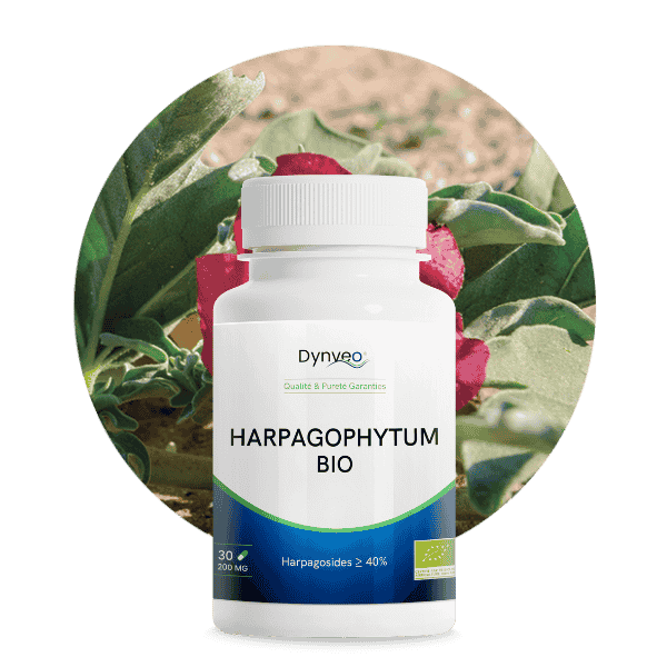 harpagophytum bio
