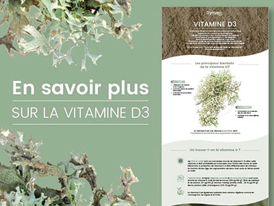 infographie vitamine d3