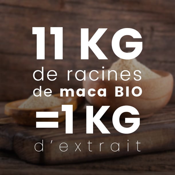 Maca concentrée