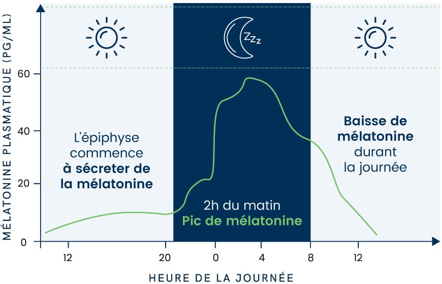 Mélatonine sommeil