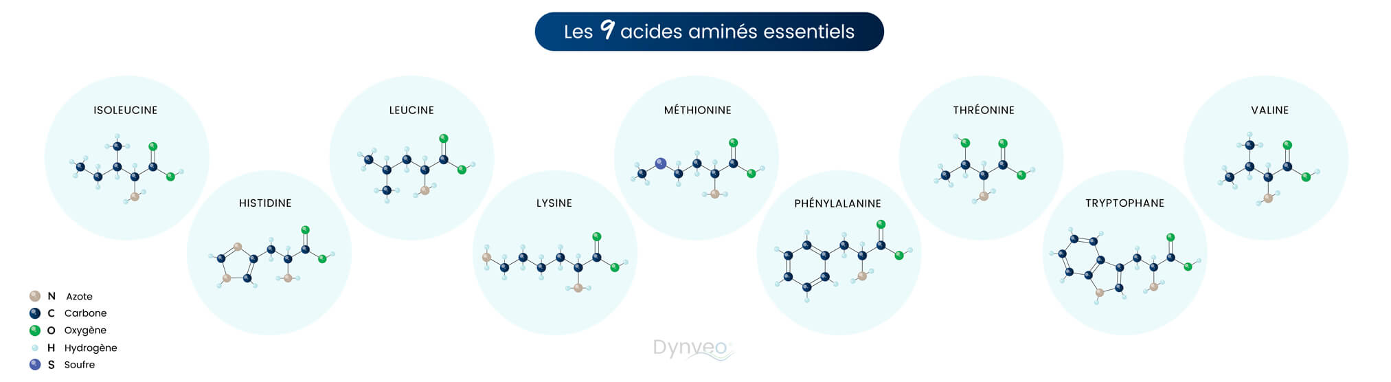 Acides aminés essentiels