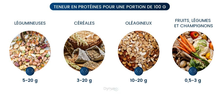 meilleures protéine végétale