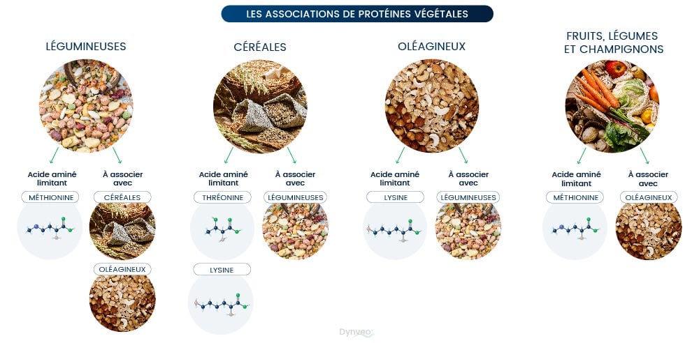 proteines végétales liste