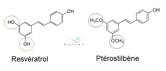 Sturctures chimiques similaires du resvératrol et du ptérostilbène