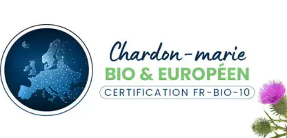 Chardon-Marie détox