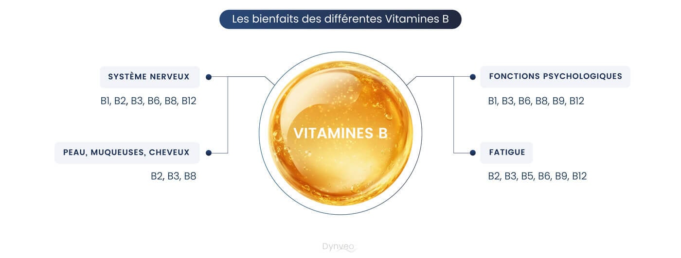 Bienfaits vitamines B