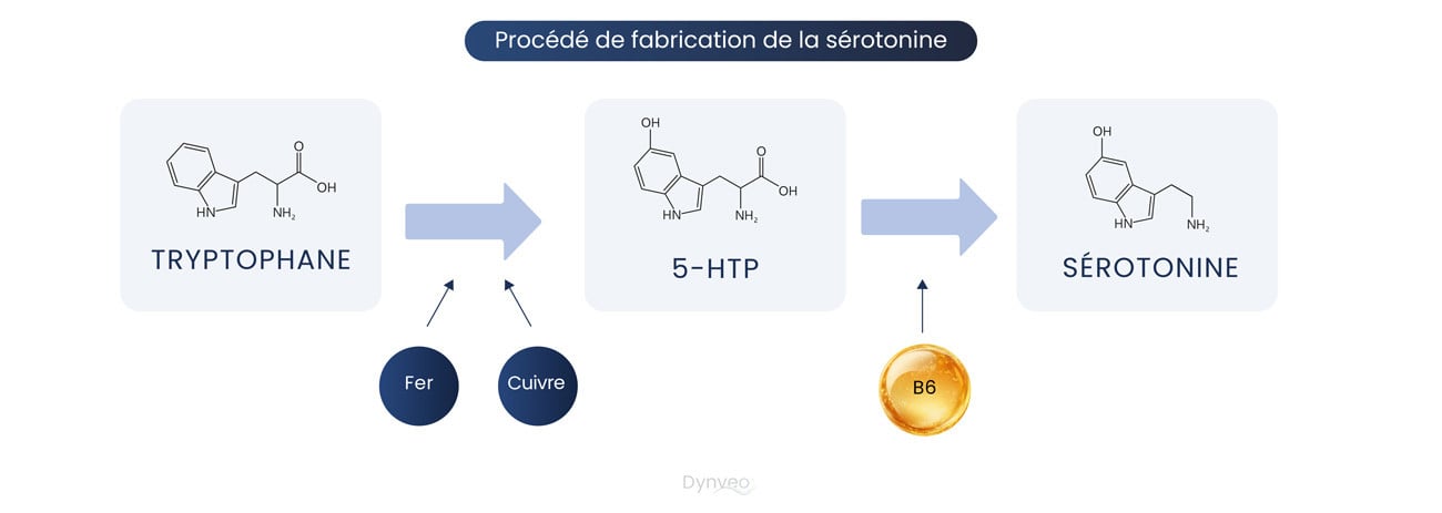 fabrication sérotonine