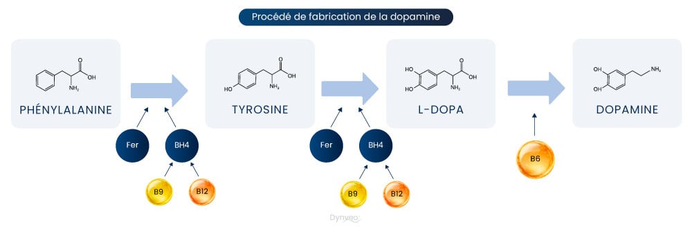 Fabrication de la dopamine