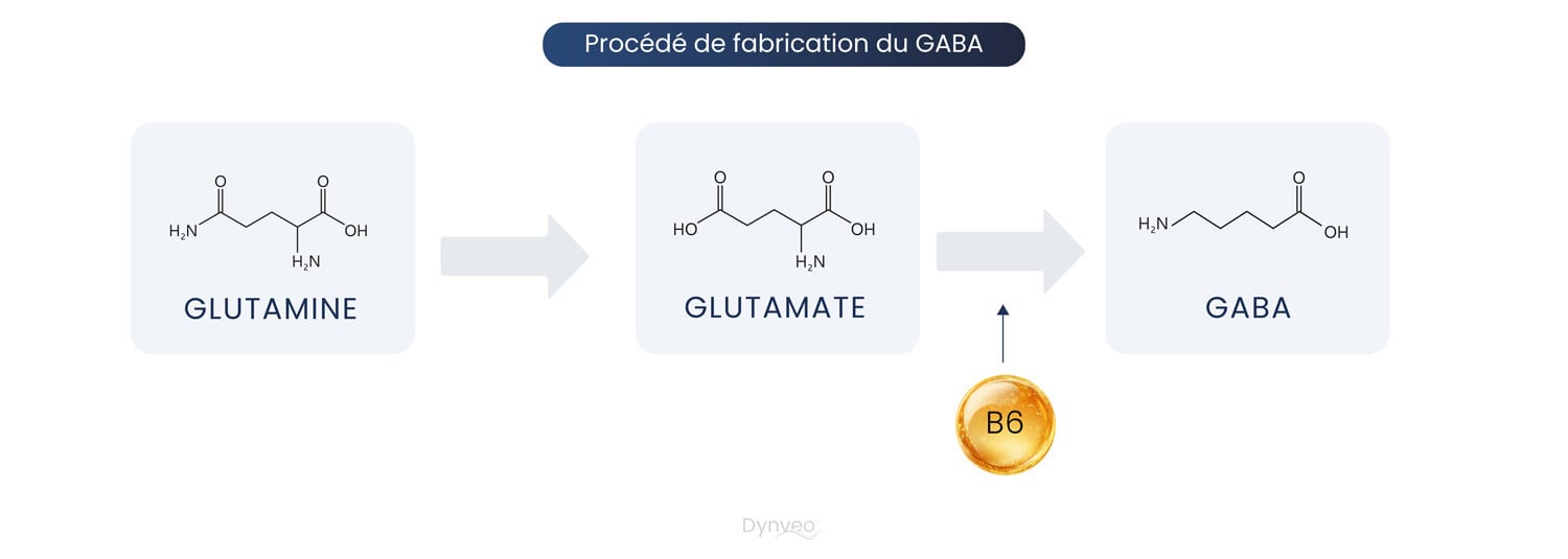 Procédé de fabrication du GABA