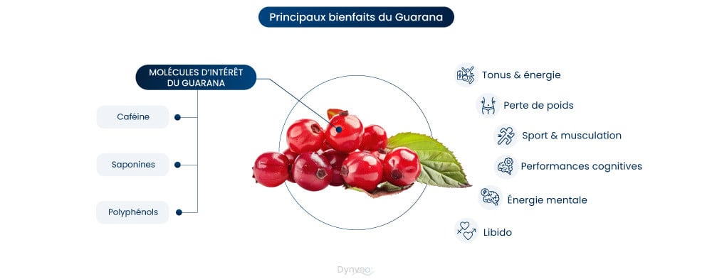 Les bienfaits du Guarana