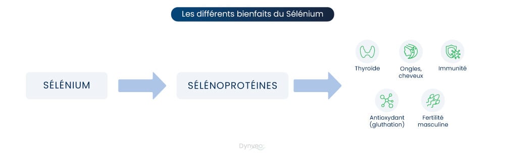 Bienfaits du sélénium