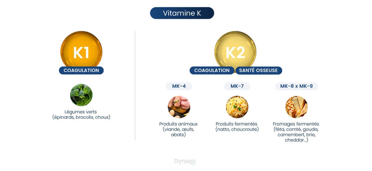 schéma dangers vitamines k2
