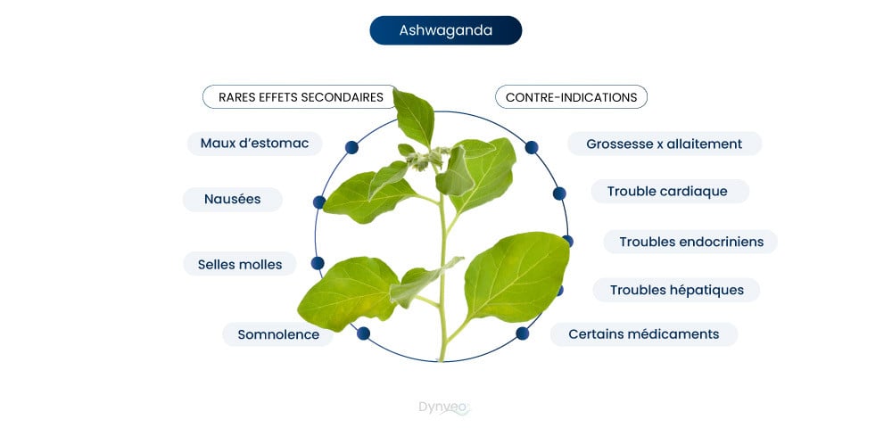 effets secondaire Ashwagandha