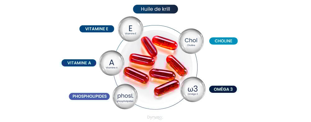 Huile de krill actifs