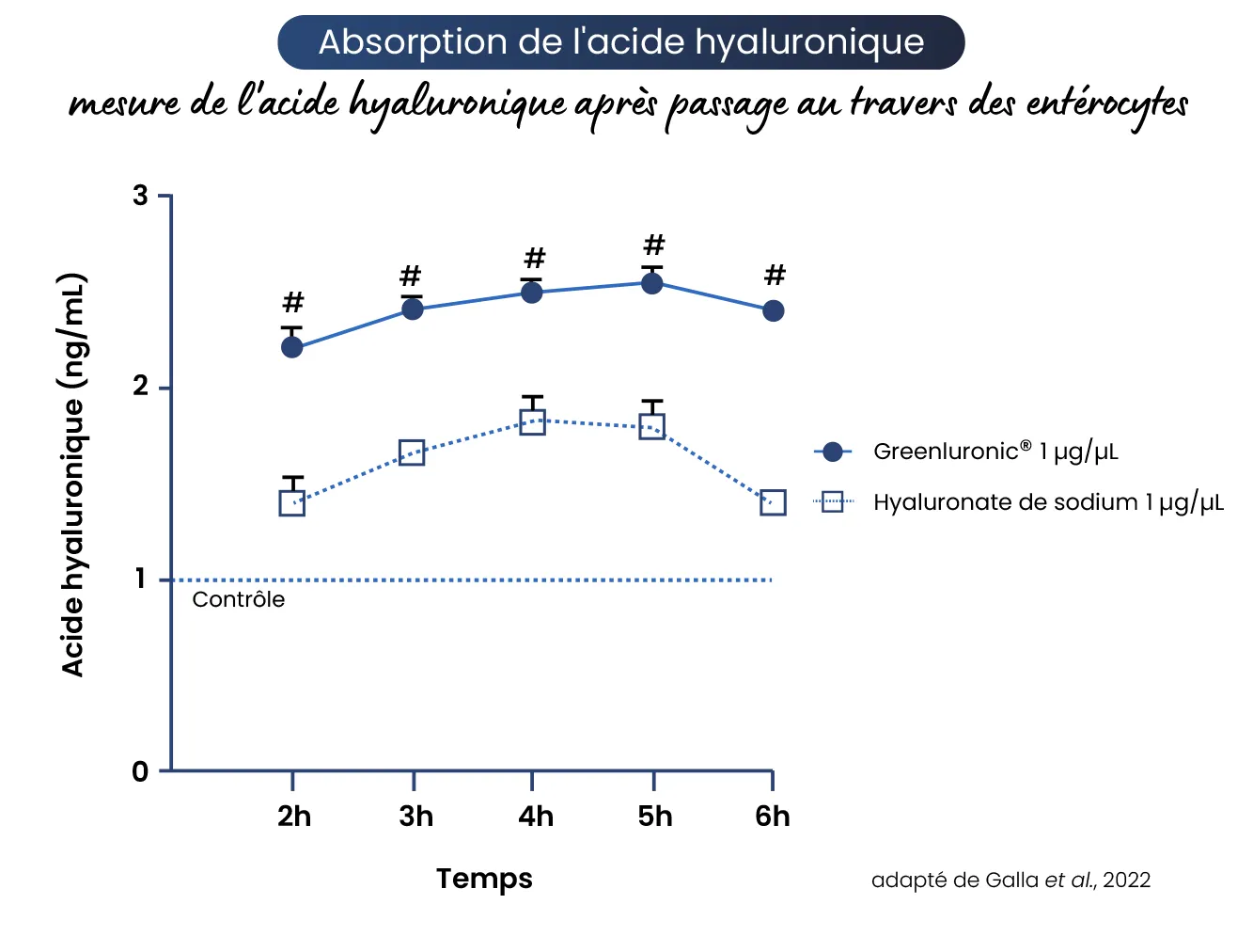 Schema absorption Acide hyaluronique