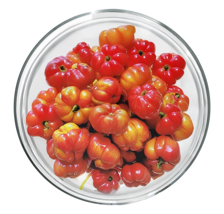 Acérola fruits