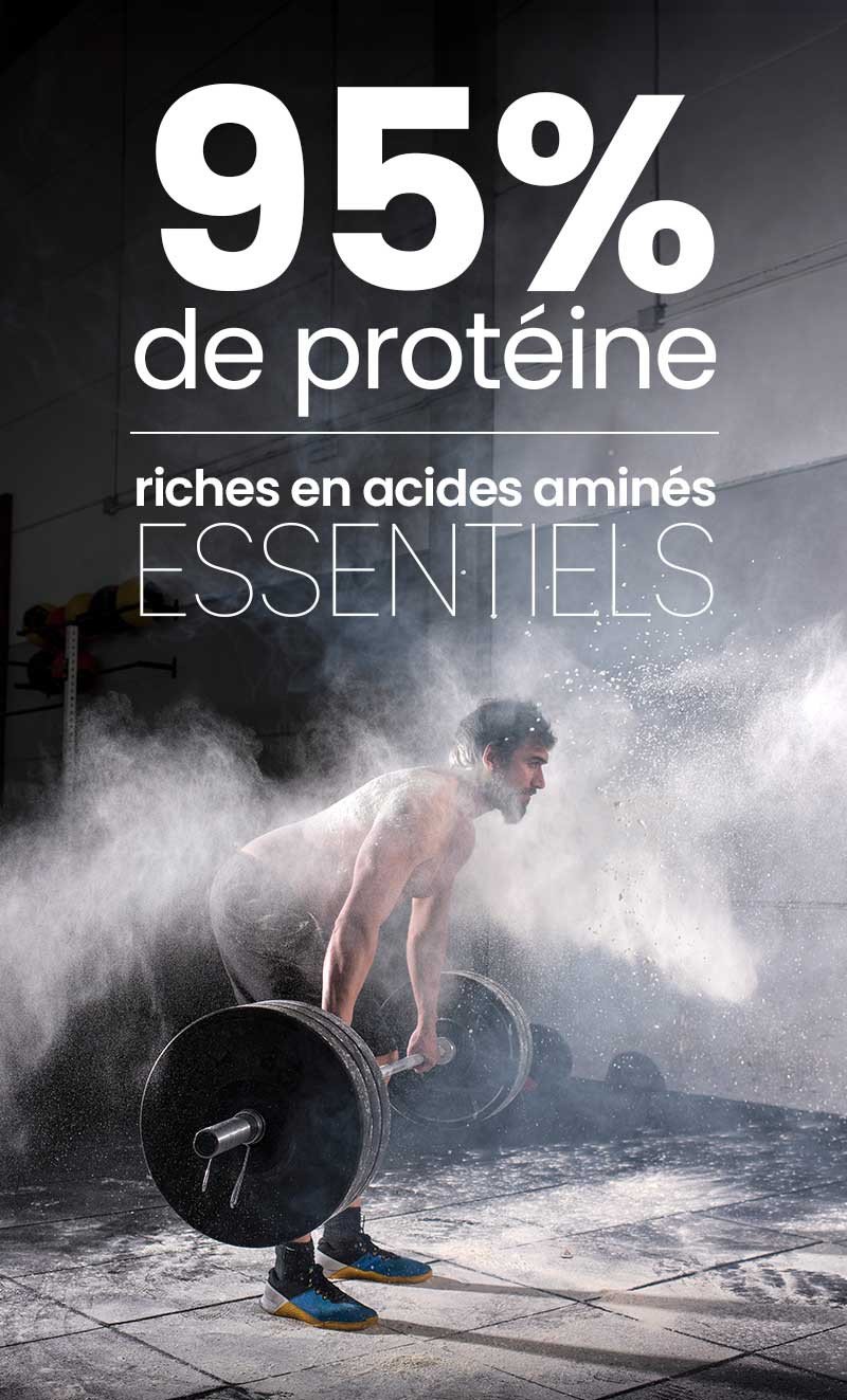Acide aminé whey