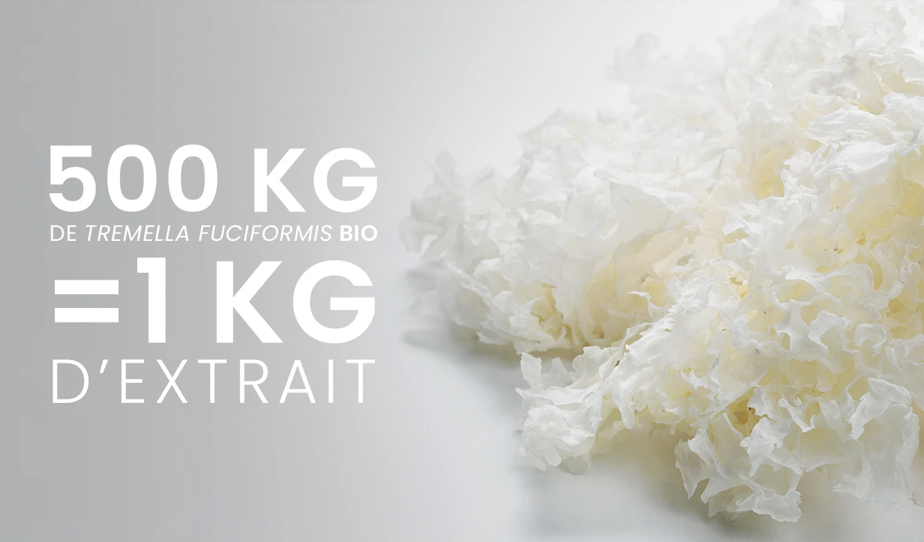 Acide hyaluronique naturel