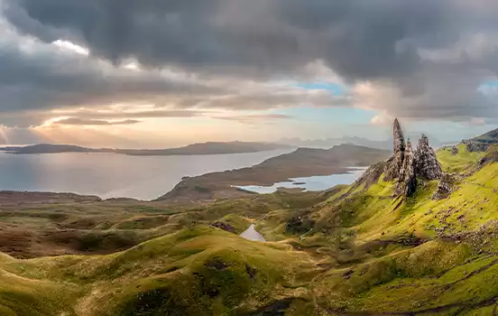 Kelp Ecosse