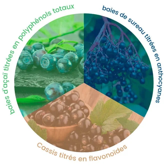 antioxydants et cofacteurs naturels