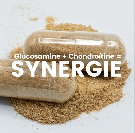 Glucosamine & Chondroïtine gélules